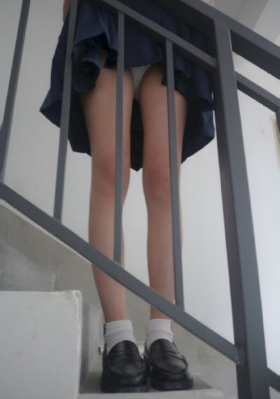 藏海花电视剧在线观看完整版