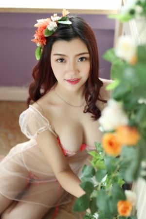 我的刺猬女孩电视剧免费观看