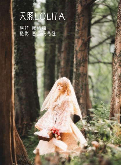 劝和小组电视剧全集免费观看