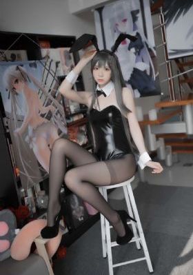 披荆斩棘第四季