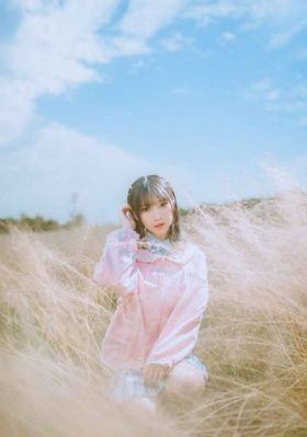 新梅瓶1一5集在线观看