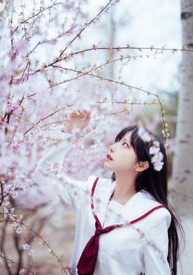 年会不能停!电影